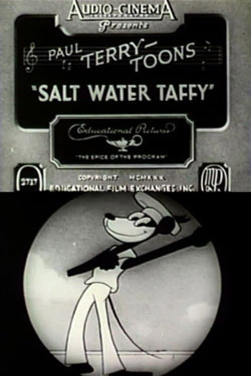 Salt Water Taffy (1930) poster