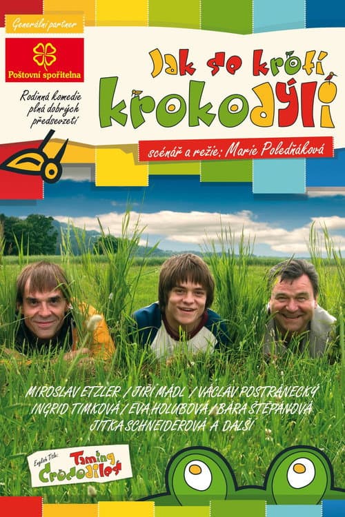 Jak se krotí krokodýli (2006) poster