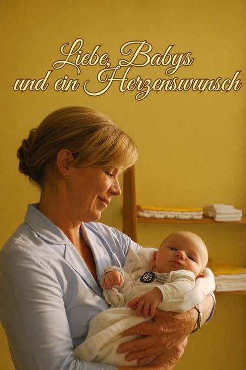 Liebe, Babys und ein Herzenswunsch (2011) poster