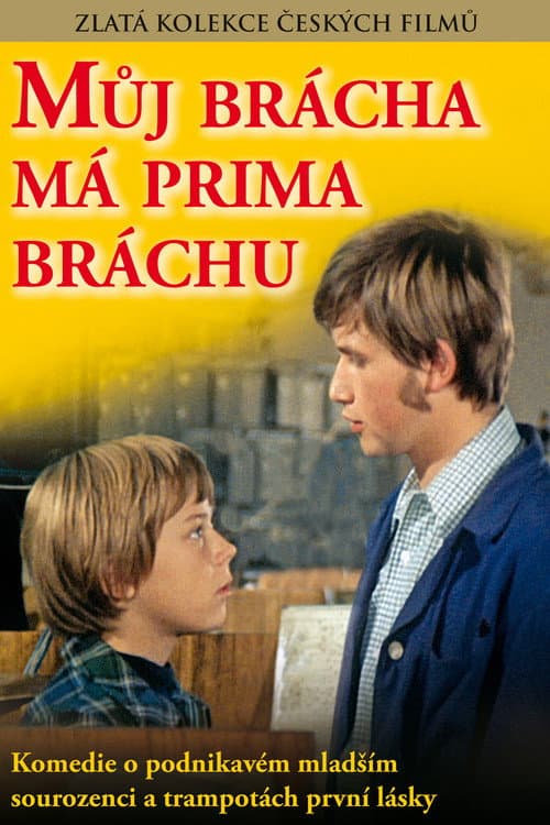Můj brácha má prima bráchu (1975) poster