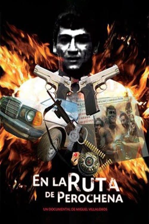 La ruta de Perochena (2011) poster