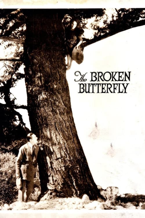 The Broken Butterfly (1919) poster
