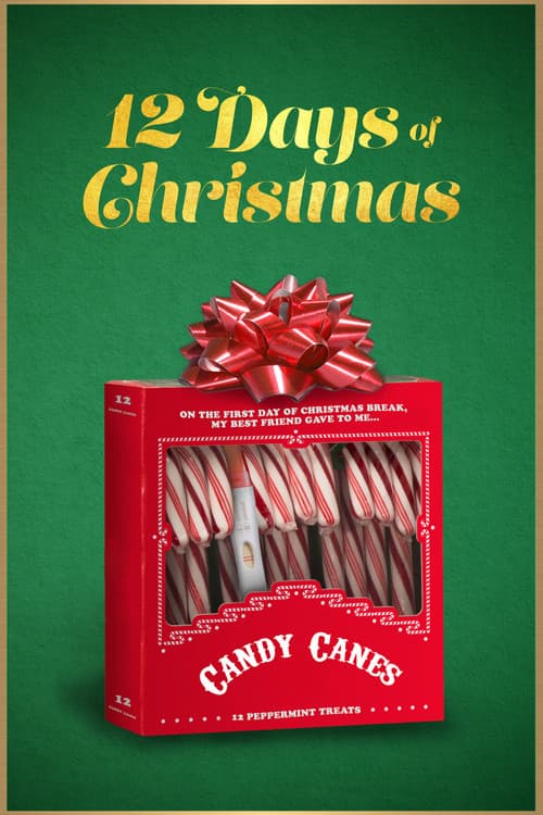 12 Days of Christmas (2020) poster