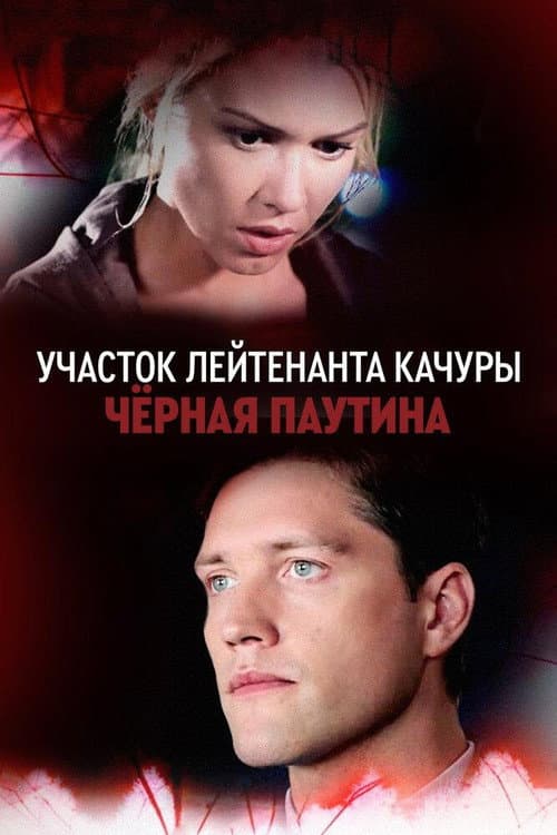 Участок лейтенанта Качуры. Чёрная паутина (2017) poster