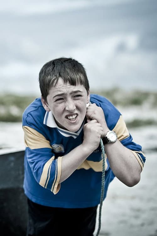 An tÁdh (2011) poster