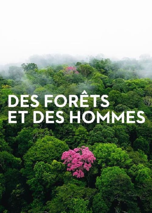 Forests and People (2011) poster
