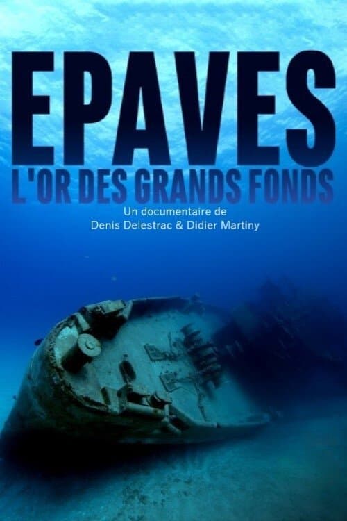 Épaves, l'or des grands fonds (2019) poster