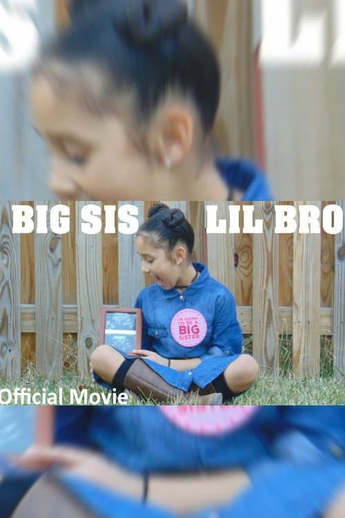 Big Sis Lil Bro (2017) poster