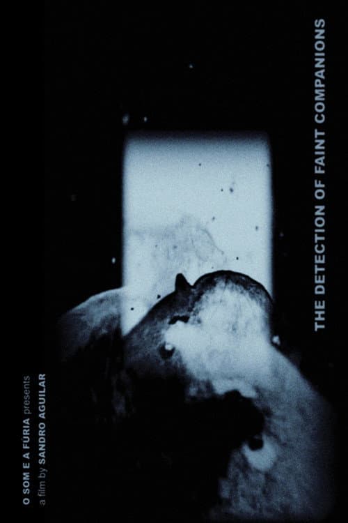 The Detection of Faint Companions (2021) poster