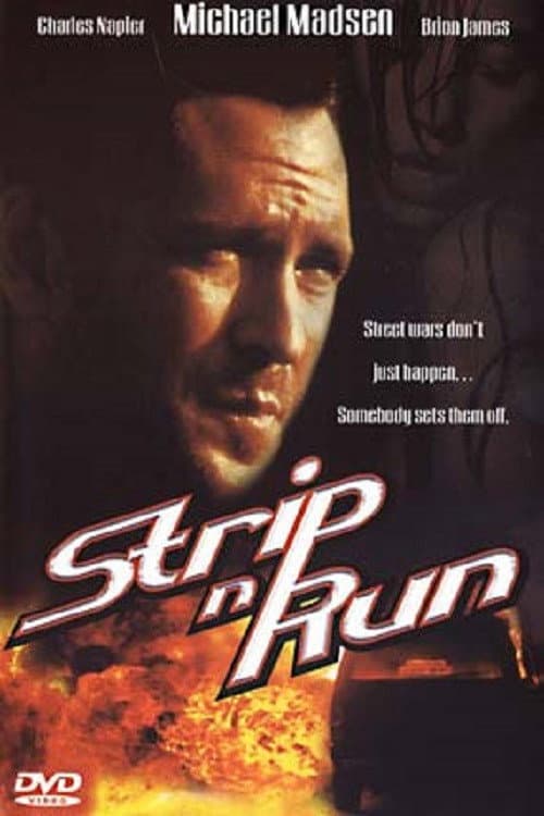 The Thief & the Stripper (2002) poster