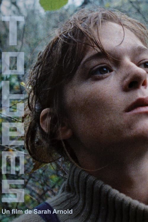 Totems (2014) poster