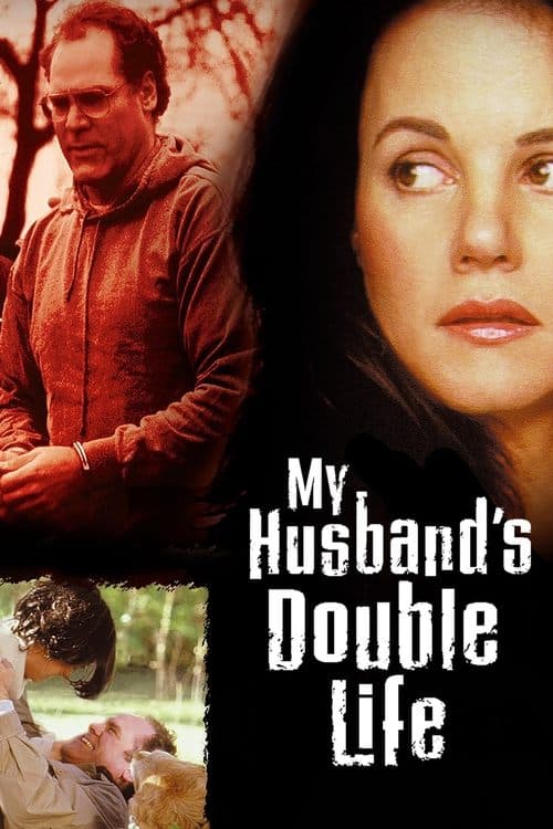 The Familiar Stranger (2001) poster