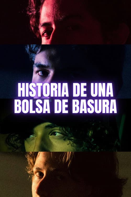 Historia de una Bolsa de Basura (2025) poster