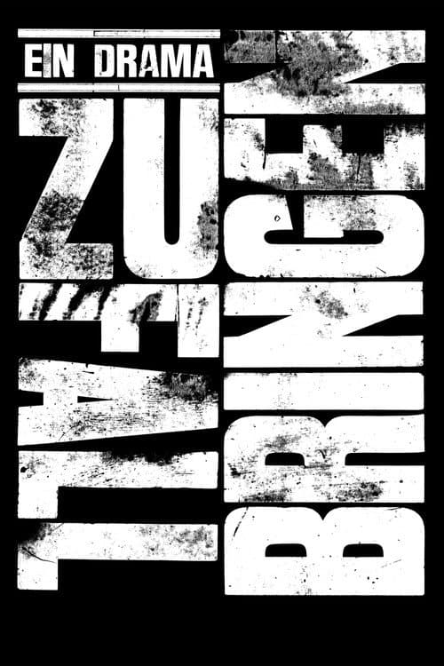 Zufallbringen (2008) poster