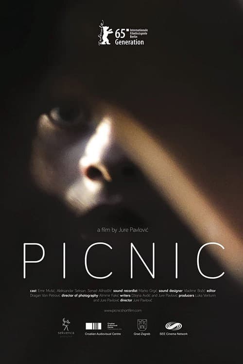 Piknik (2015) poster