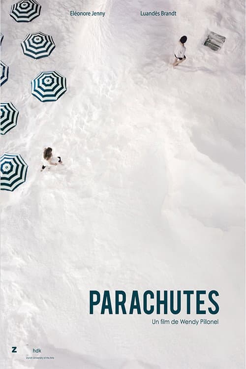 Paracaduti (2012) poster