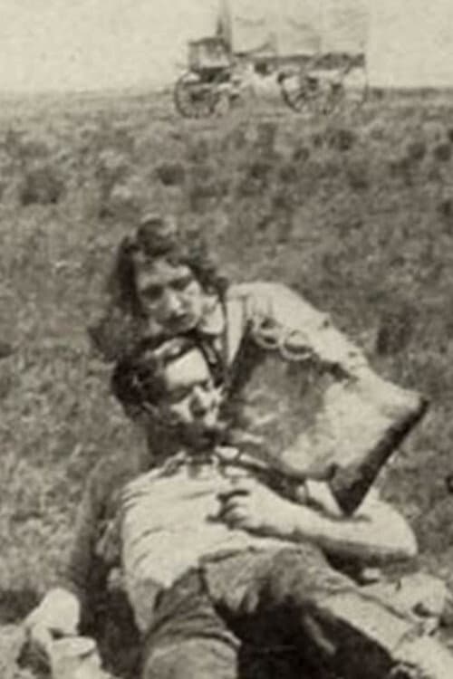 The Brave Deserve the Fair (1915) poster