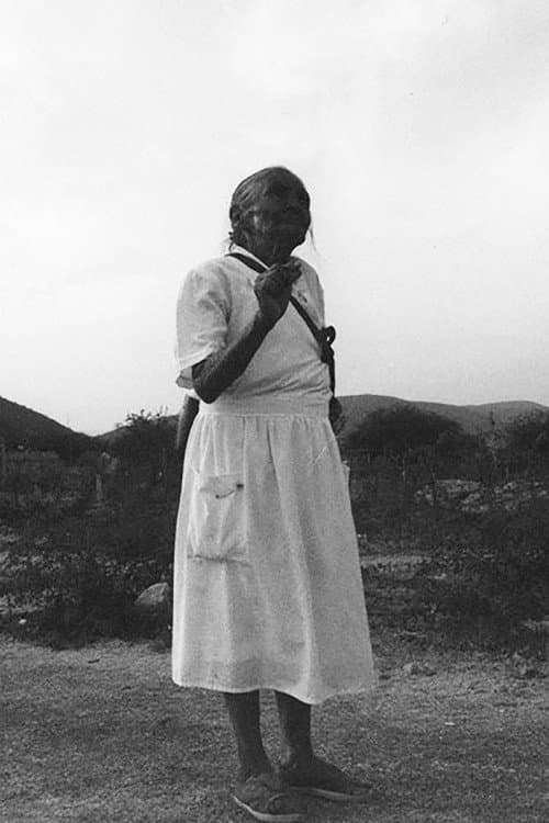 Los Zapatos de Zapata (2001) poster