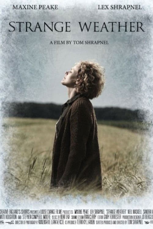 Strange Weather (2015) poster