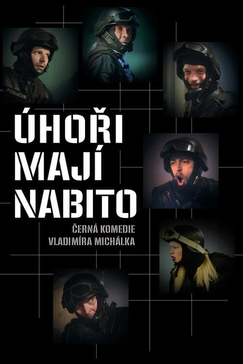 Úhoři mají nabito (2019) poster