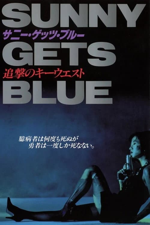 SUNNY GETS BLUE 追撃のキーウエスト (1991) poster