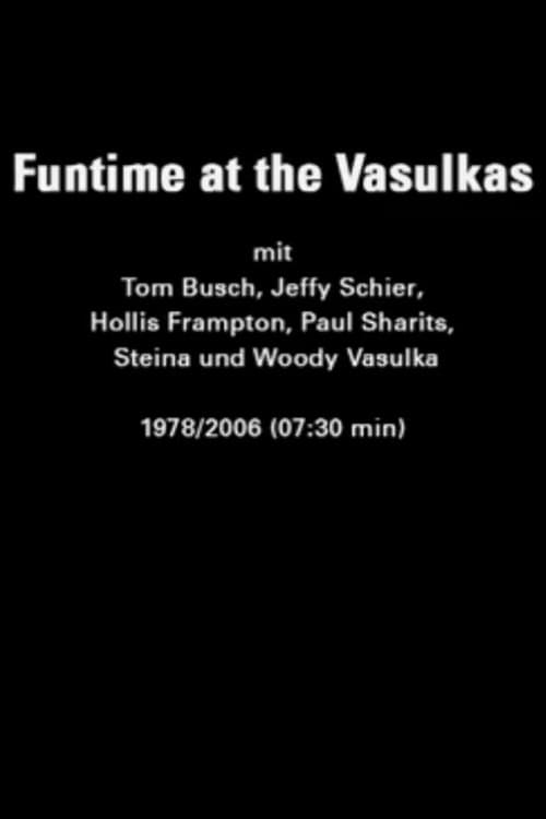 Funtime at the Vasulkas (2006) poster