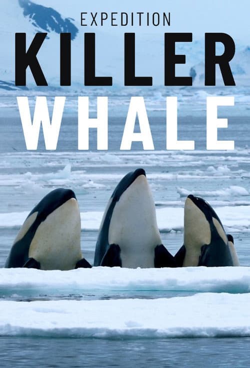 Expedition Killer Whale (2024) poster