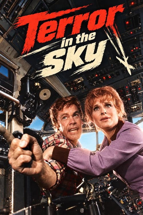 Terror in the Sky (1971) poster