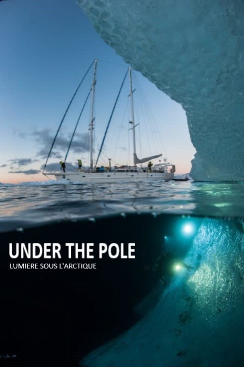 Under The Pole : Lumière Sous l'Arctique (2017) poster