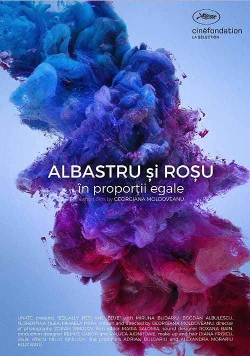 Albastru si rosu, in proportii egale (2018) poster