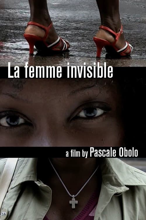 La femme invisible (2010) poster
