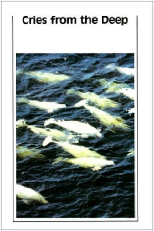 Les Pièges de la Mer (1981) poster