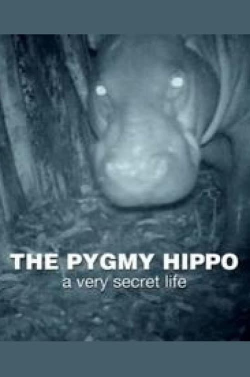 The Pygmy Hippo: A Very Secret Life (2014) poster