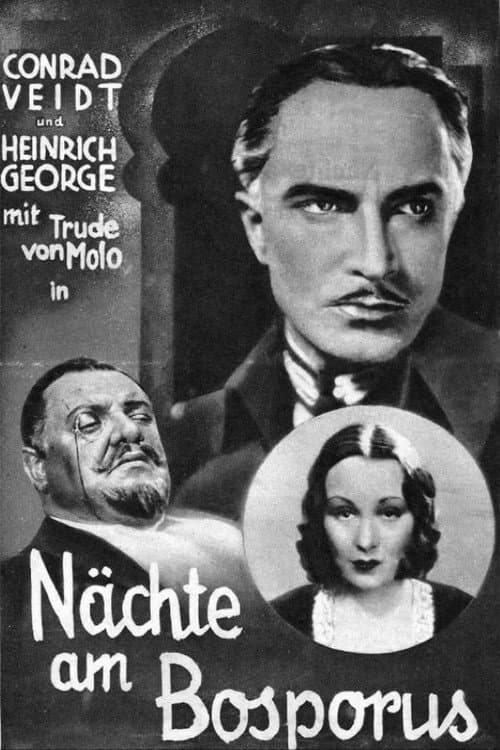 Der Mann, der den Mord beging (1931) poster