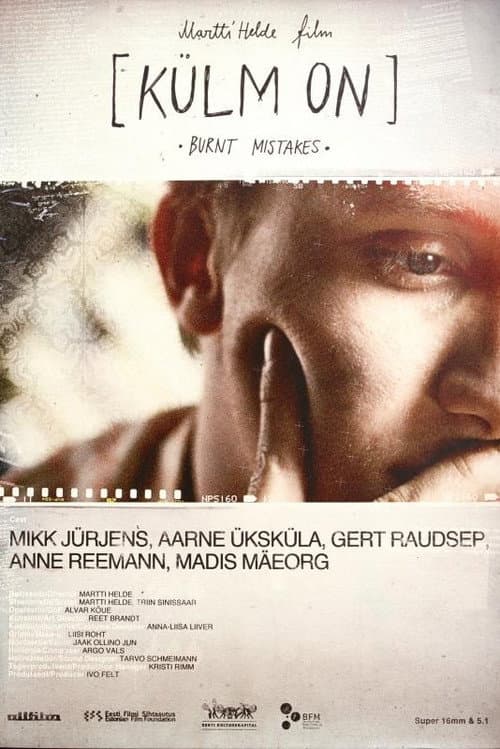 Külm on (2010) poster
