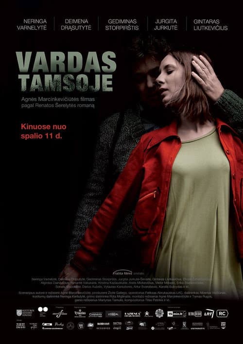Vardas tamsoje (2013) poster