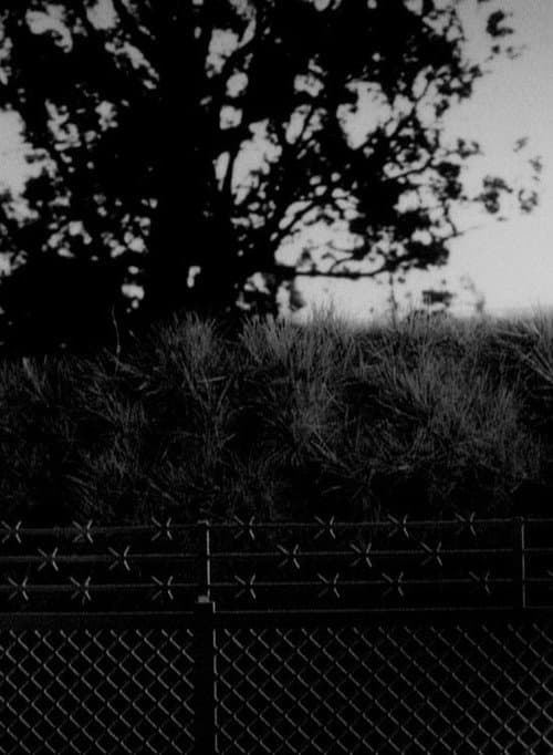 Arbor (2012) poster
