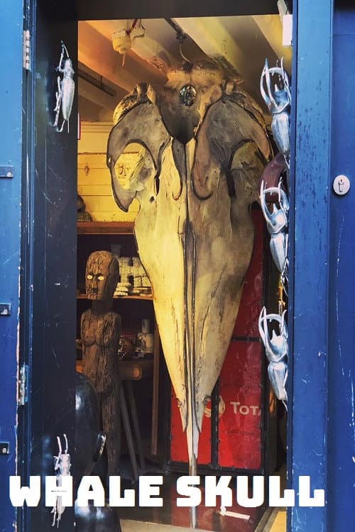 Whale Skull (2020) poster