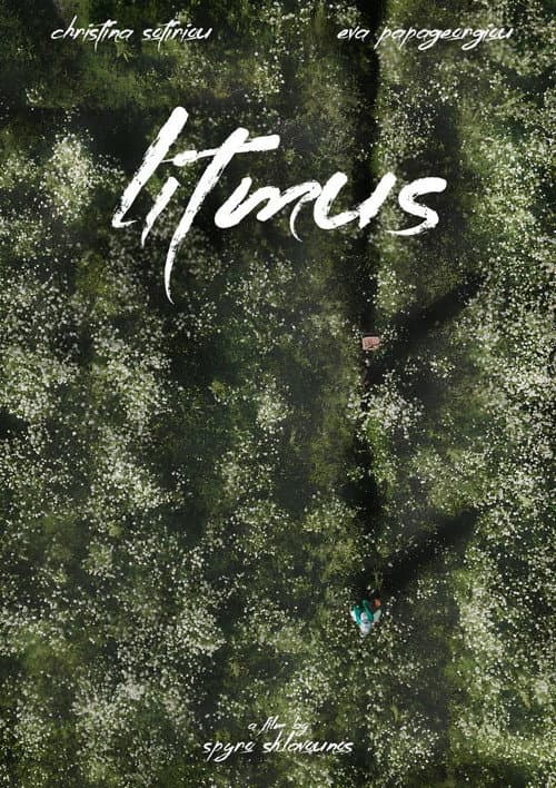Litmus (2026) poster
