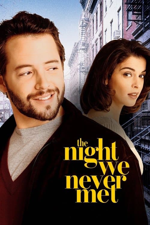 The Night We Never Met (1993) poster