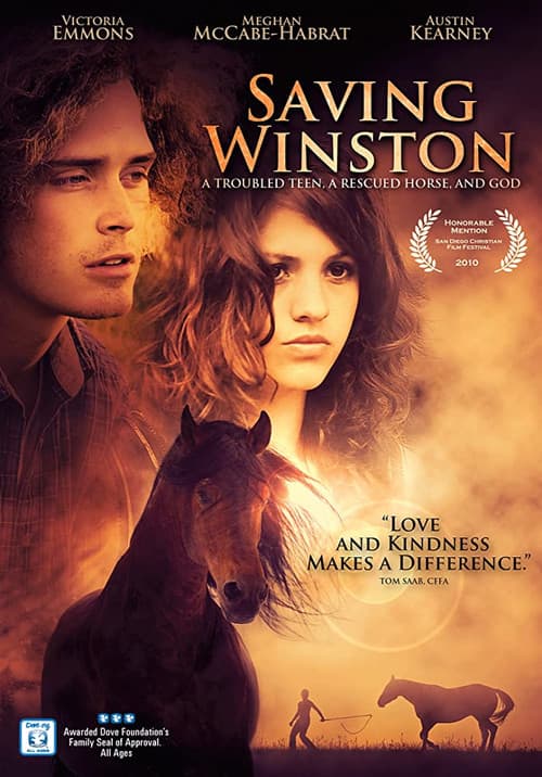 Saving Winston (2011) poster