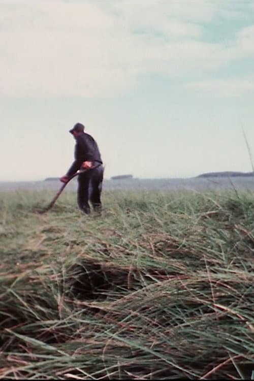 Farmer (1973) poster