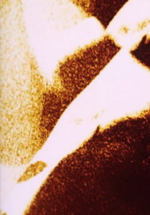 Spectral Cycle (2009) poster