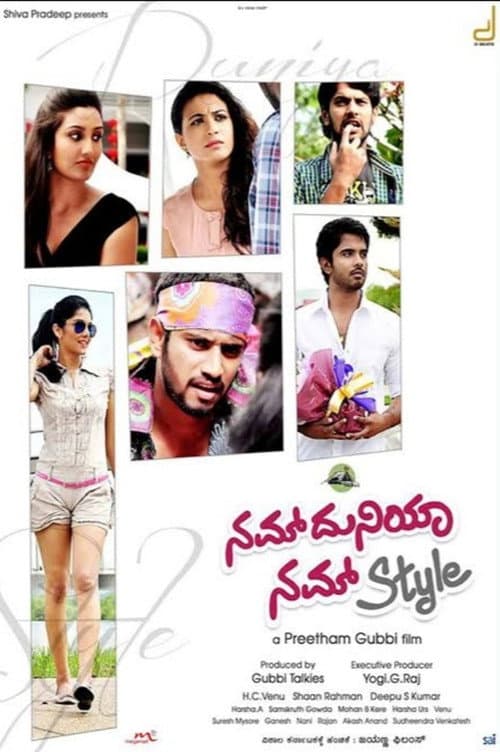 Nam Duniya Nam Style (2013) poster