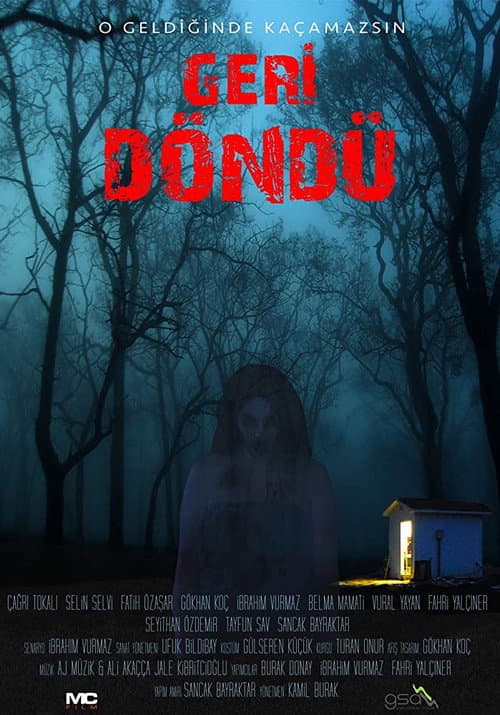 Geri Döndü (2017) poster