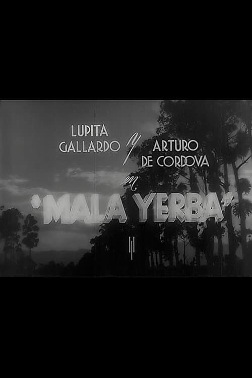 Mala yerba (1940) poster