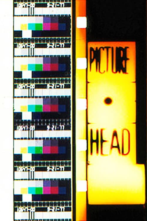 Protection Leader (1995) poster