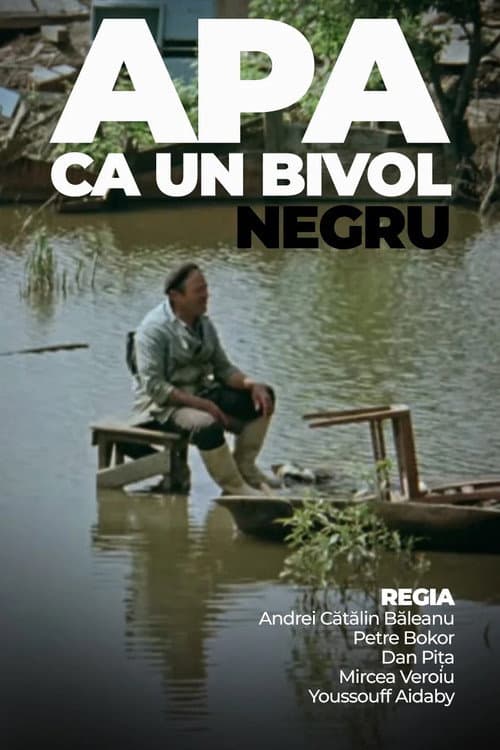 Apa ca un bivol negru (1970) poster