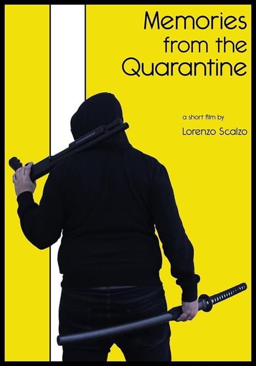 Memories from the Quarantine (2020) poster