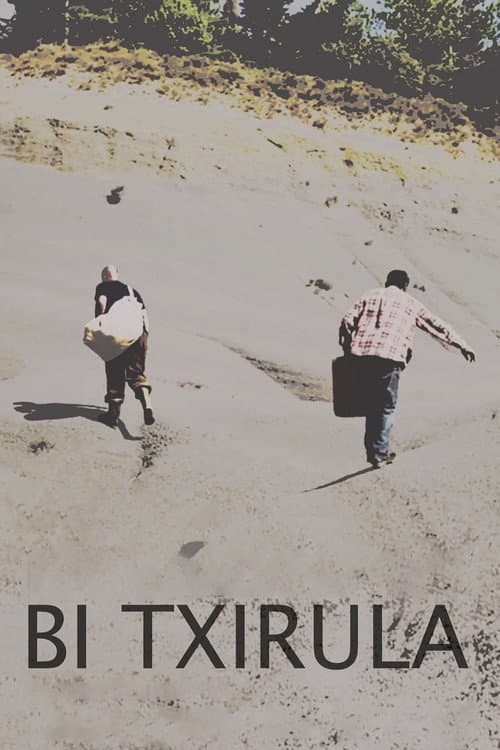 Bi txirula (2017) poster